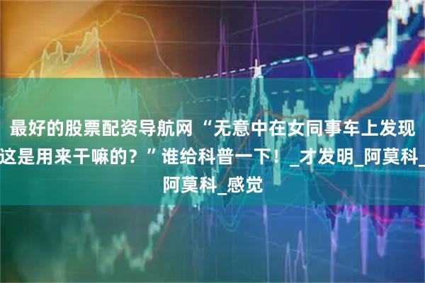 最好的股票配资导航网 “无意中在女同事车上发现的，这是用来干嘛的？”谁给科普一下！_才发明_阿莫科_感觉